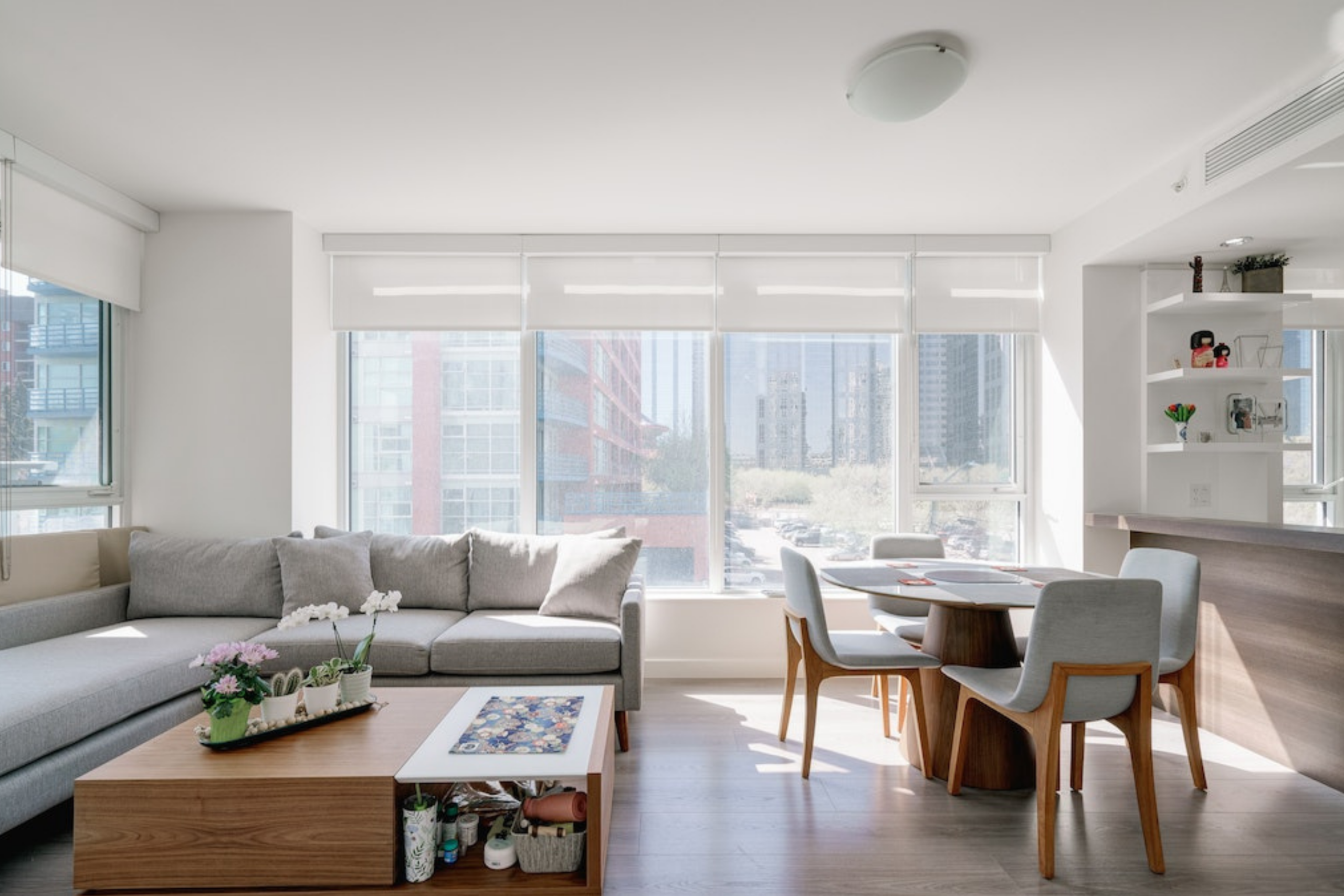 Elboya realtors